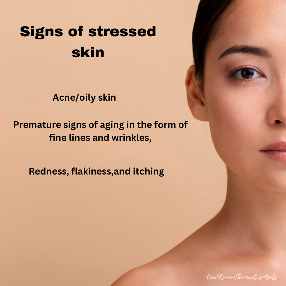 Korean skincare routine prioritizes natural, gentle ingredients like green tea and snail mucin, making it effective yet kind to the skin.